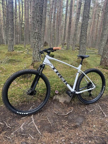 Trek marlin 2025 - marlin, 7